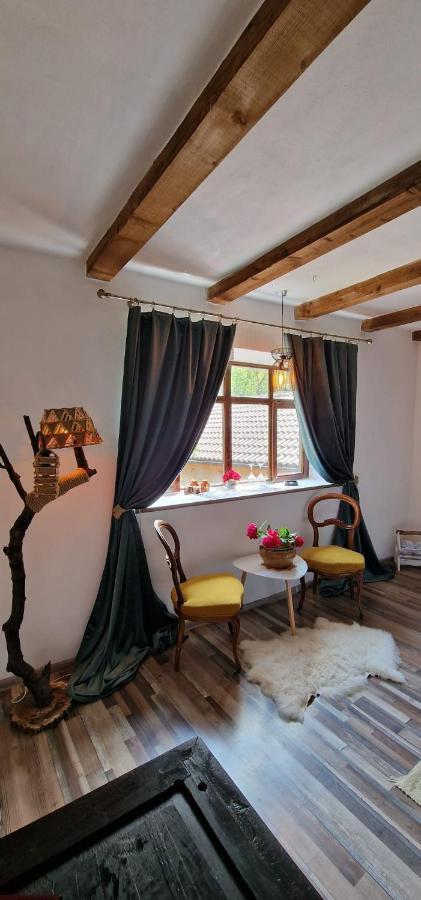 Villa Casageo Cheile Nerei à Sokolar Extérieur photo